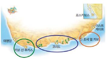 에디터 사진
